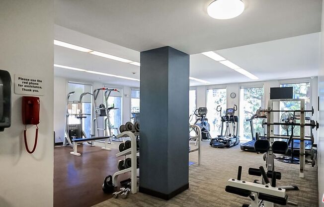 Studio, 1 bath, 481 sqft, $2,500, Unit 2104