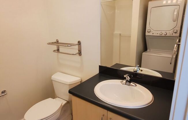 Studio, 1 bath, 245 sqft, $1,495, Unit 301