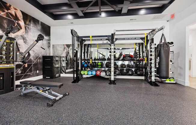 A gym with a punching bag, weights, and a bench.