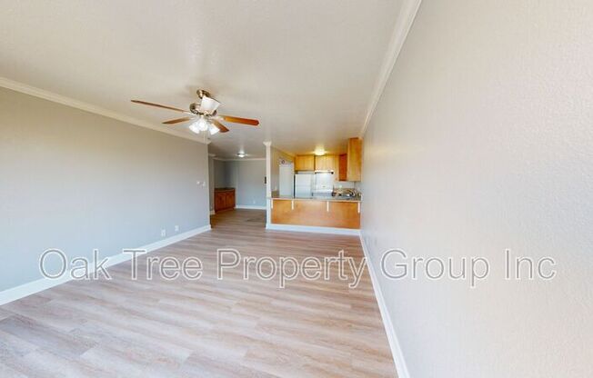 351 LESTER AVE