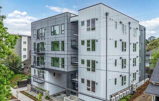 Studio, 1 bath, 250 sqft, $1,350, Unit 101
