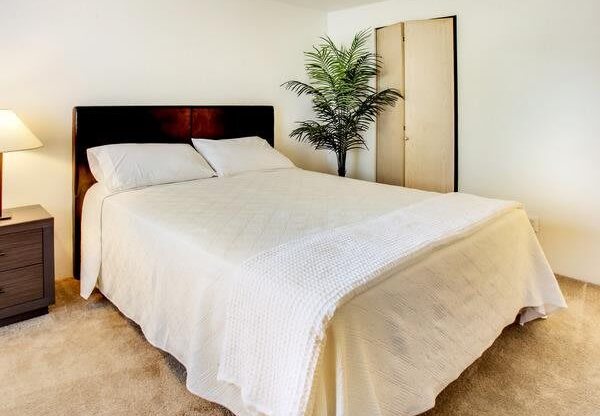 a bedroom with a white bed and a palm tree