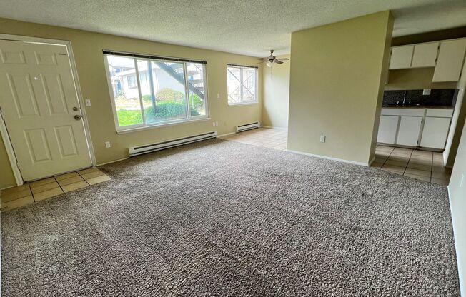 1 bed, 1 bath, 700 sqft, $1,595, Unit 119