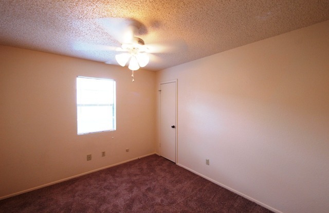 3 beds, 2 baths, $1,200