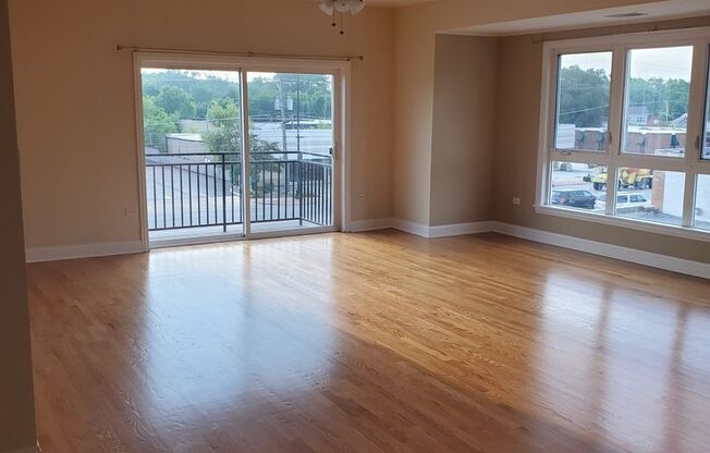 Oak Forest Hidden Gem