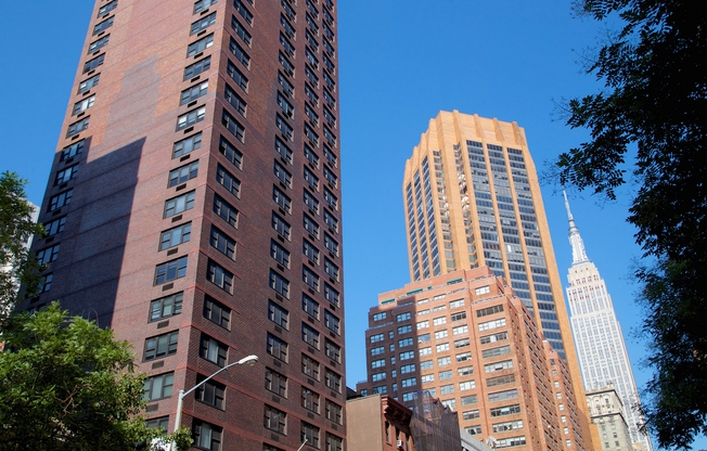 Studio, 1 bath, 488 sqft, $4,083, Unit 1804