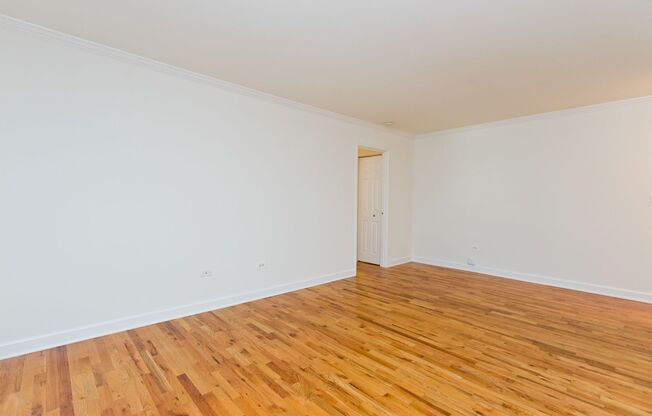 1 bed, 1 bath, $1,425, Unit 300