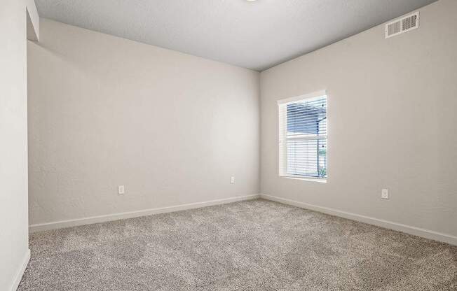 A room with a carpeted floor and a window with blinds.