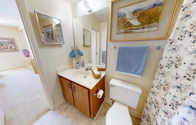A bathroom with a toilet, sink, and a mirror.