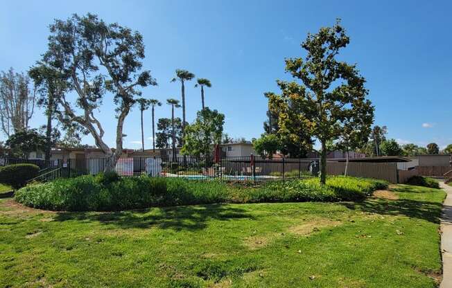 View of swimming pool area with mature trees and landscaping at Plaza Verde Apartments in Escondido, California.