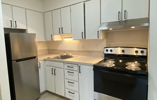 1 bed, 1 bath, 491 sqft, $995, Unit Unit 209
