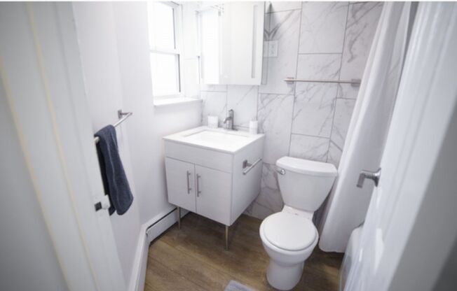 Studio, 1 bath, 450 sqft, $1,145, Unit 3411-206