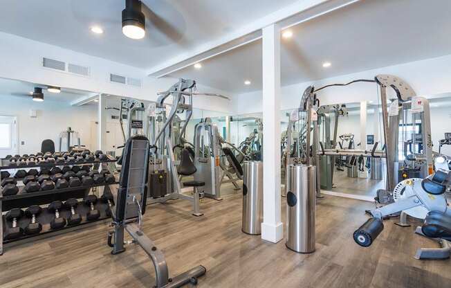 A well-equipped gym with a variety of machines and weights.