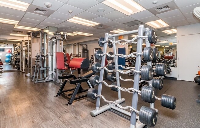 1 bed, 1 bath, 500 sqft, $2,550, Unit 309