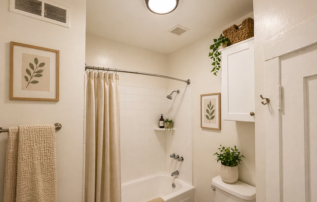 Studio, 1 bath, $1,300, Unit 202