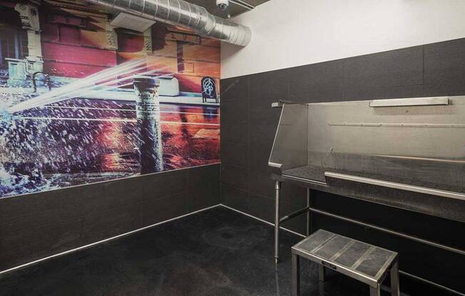 Pet Wash at AV8 Apartments in San Diego, CA