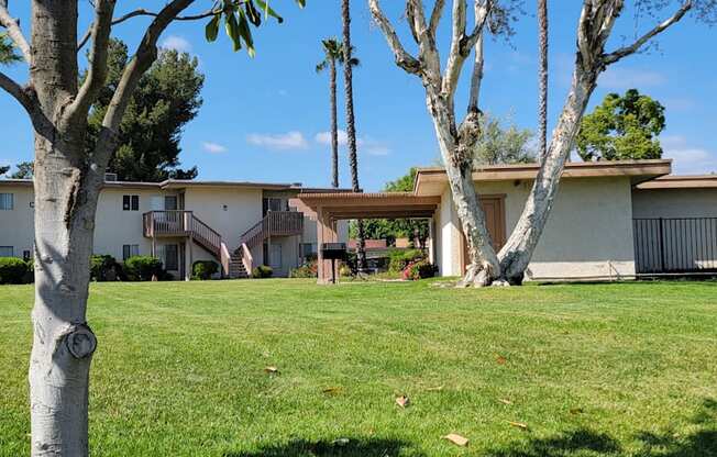 Nice grassy lawn area with pergola padio picnic area outside recreation center and swimming pool at Plaza Verde Apartments in Escondido, California.