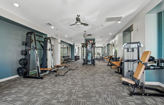 Machines and Free Weights