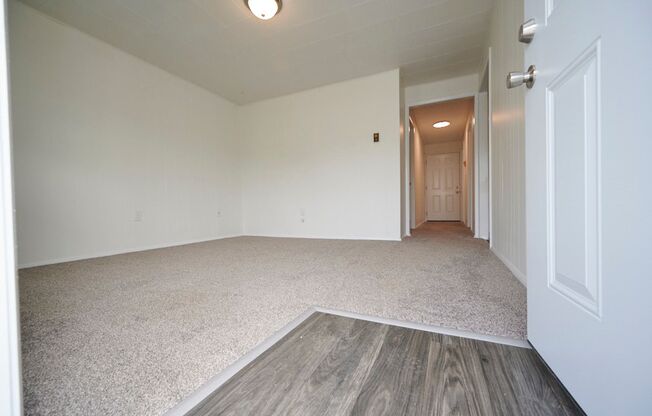 Come Check Out These Newly Renovated 1 Bedroom Apartments Only $795 A Month!