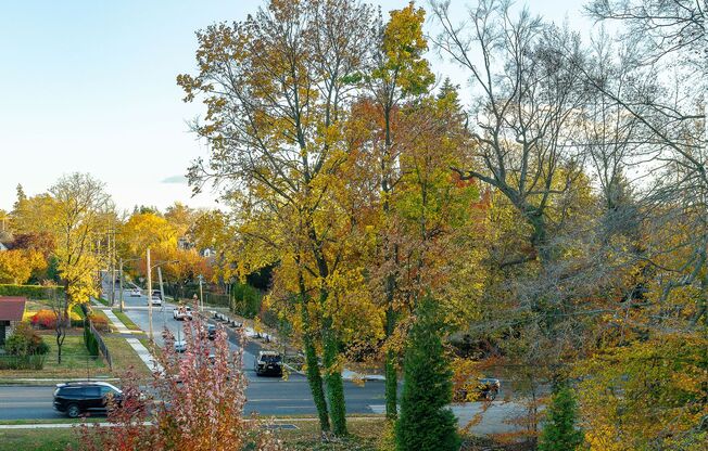 1 bed, 1 bath, 660 sqft, $1,688, Unit 301