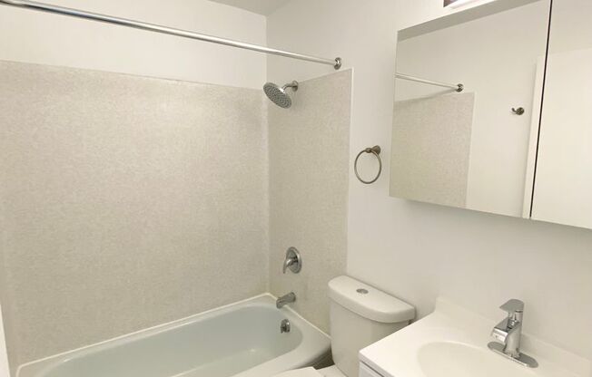 1 bed, 1 bath, 485 sqft, $1,450, Unit 114