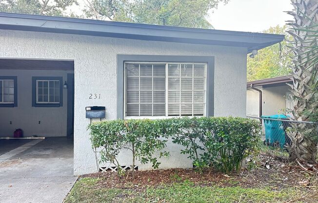 231 Summerlin Ave