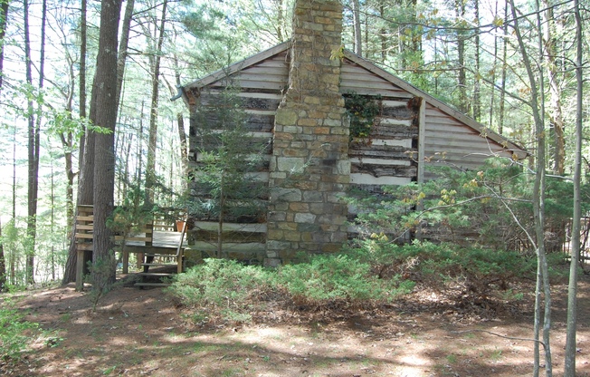 Cozy Cabin - 1 BR, 1 Ba