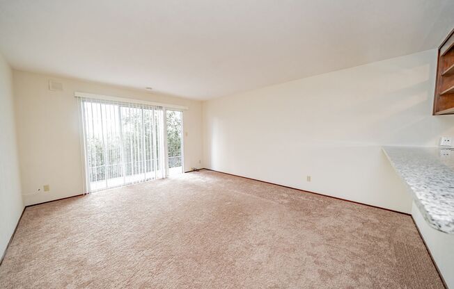 1 bed, 1 bath, $1,695, Unit 3