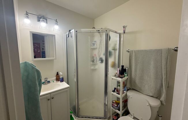 Newly Renovated Temple Apartment