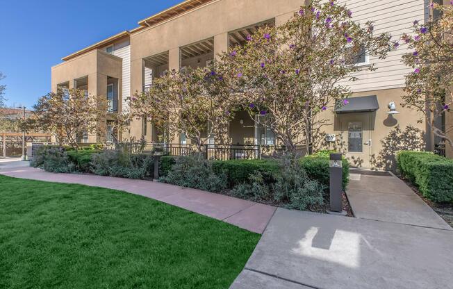 Landscaping at The Village at Town Center in El Cerrito CA