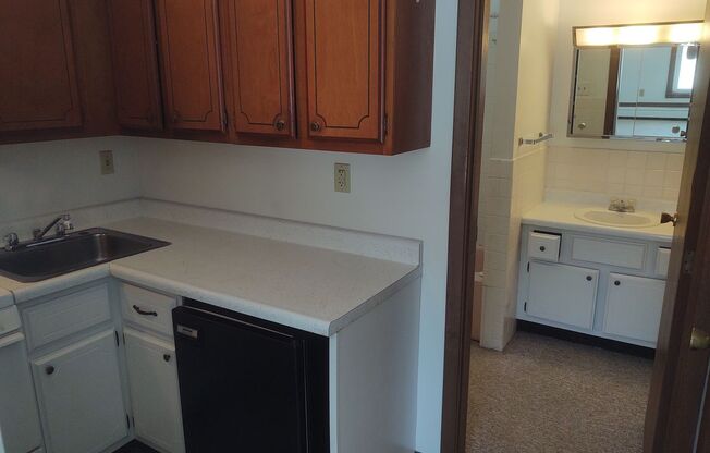 Studio, 1 bath, 305 sqft, $550, Unit Apt 214