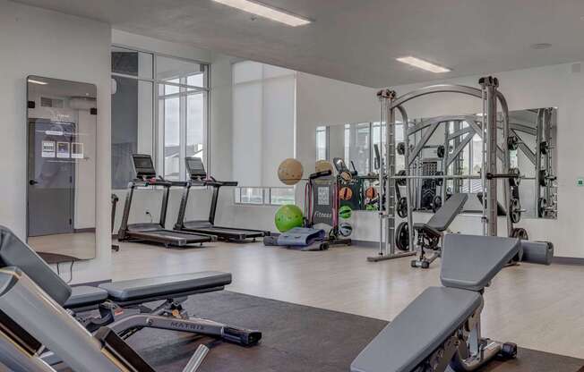 A gym with a variety of equipment including treadmills, weights, and a bench press.