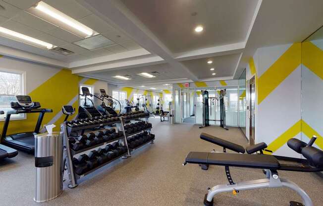 A gym with treadmills, dumbbells, and benches.