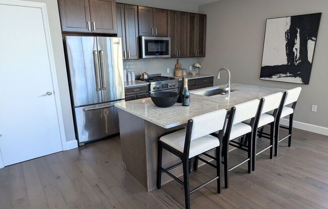 Gorgeous 2 Bedroom 2 Bathroom Downtown Condo