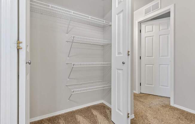 A white pantry with a carpeted floor and a white door.