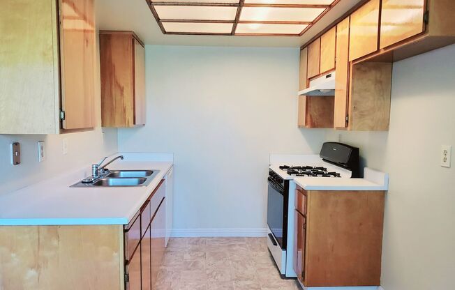 1 bed, 1 bath, $1,600