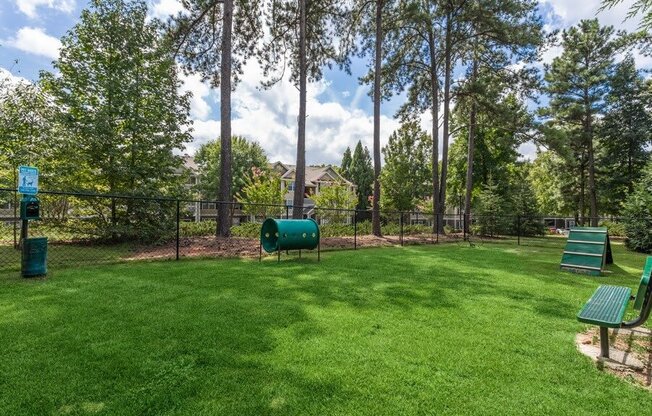 View of fenced-in dog park