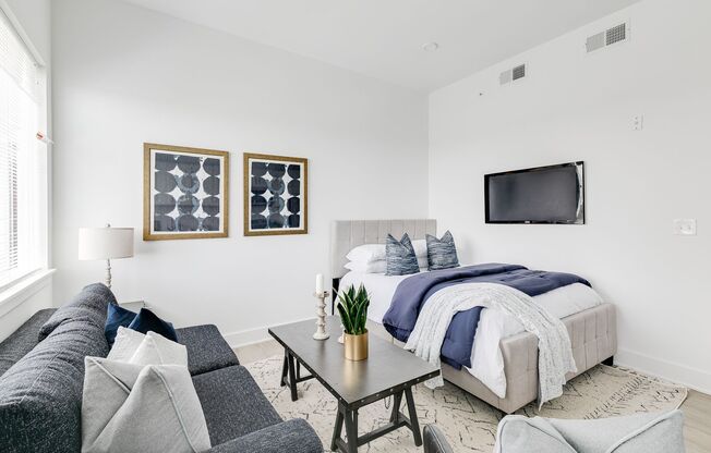 Studio, 1 bath, 357 sqft, $1,215, Unit 207