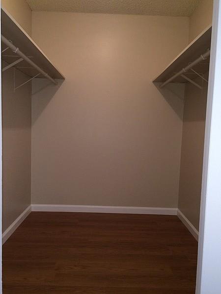 Welcome to The Cedars Studio