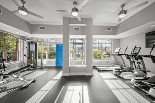 A gym with treadmills, exercise bikes, and a rowing machine.