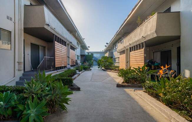 Welcome to Venice Dreams