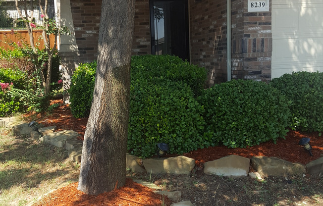 8239 MERRIWEATHER DR