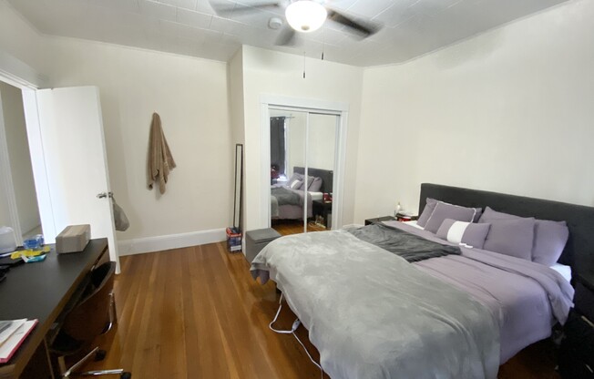 14 ELDER ST