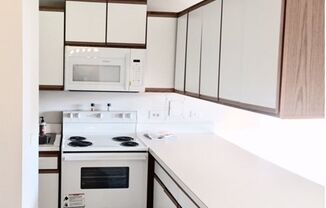 1 bed, 1 bath, $1,650, Unit 303