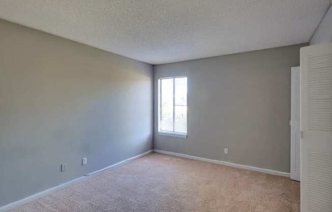 Spacious Bedroom with Carpeting at River Crossing Apartments, Thunderbolt