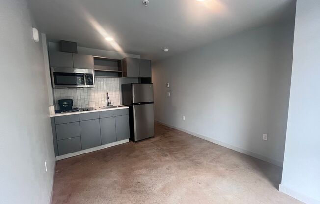 Studio, 1 bath, 238 sqft, $1,025, Unit 309 MFTE