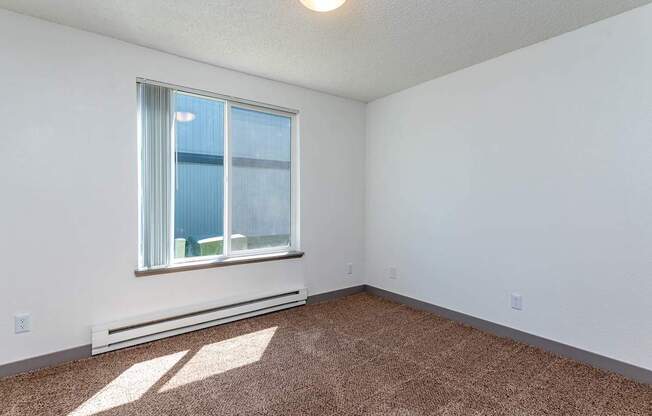 A room with a window and a carpet on the floor.