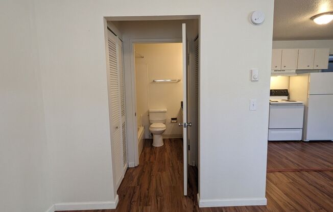 Studio, 1 bath, 350 sqft, $925, Unit 203