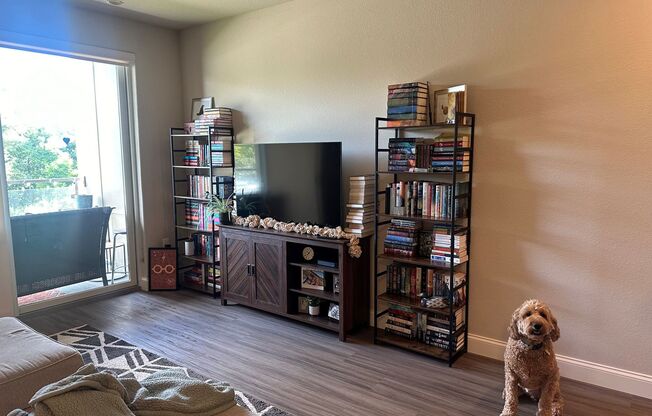 1 bed, 1 bath, 871 sqft, $1,650, Unit 213