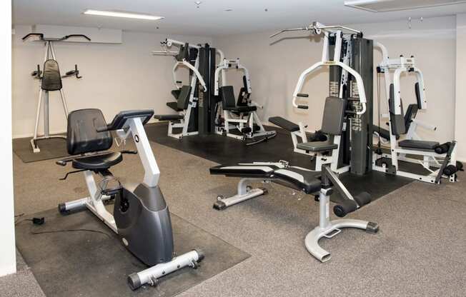 fitness center cardio and weight machines